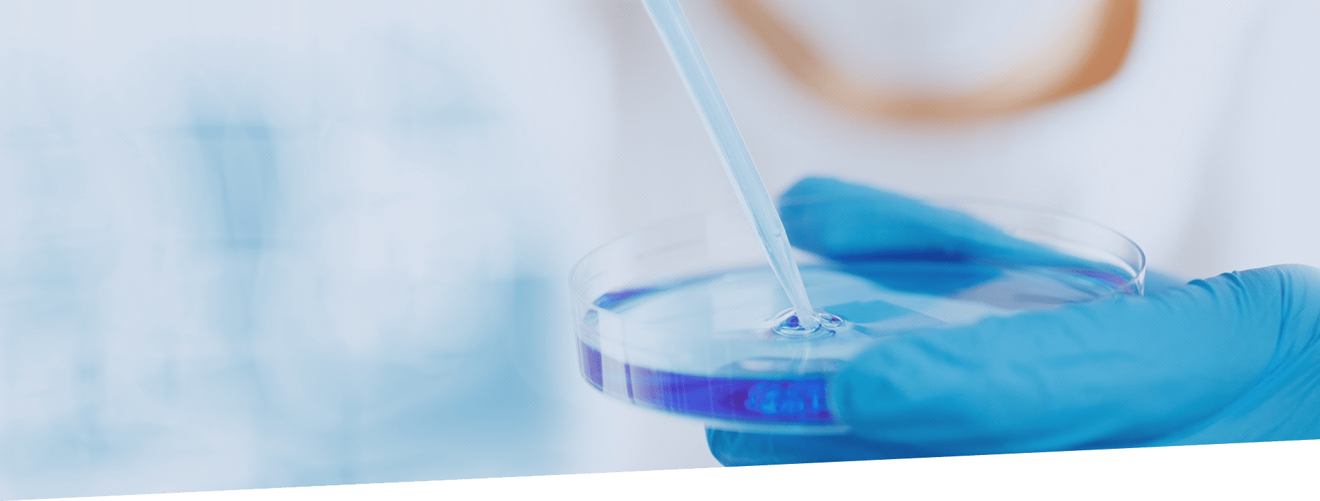 AGׯ�С�(�й�)����-AG����Ͷ(�й�)���޹�˾-AG�콢��